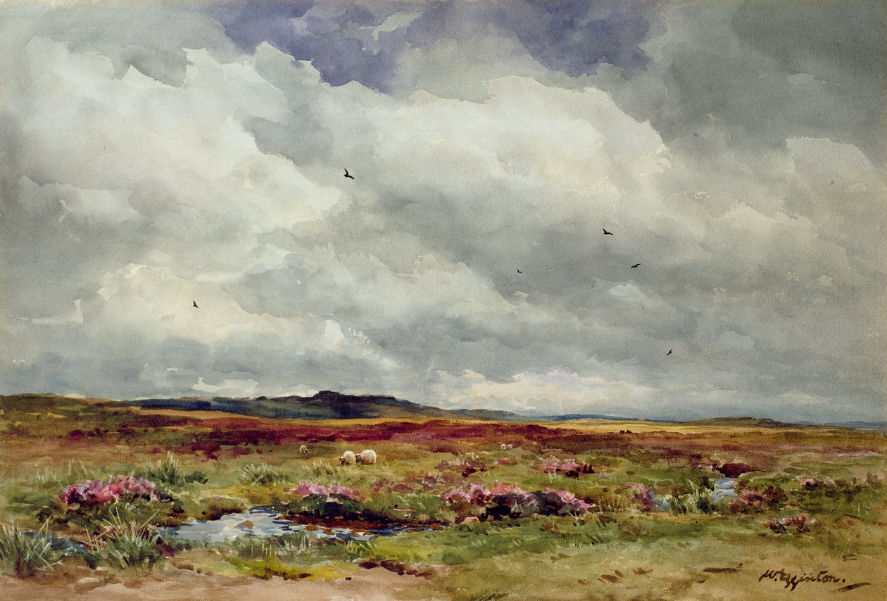 Um dia ventoso, Dartmoor de Wycliffe Egginton