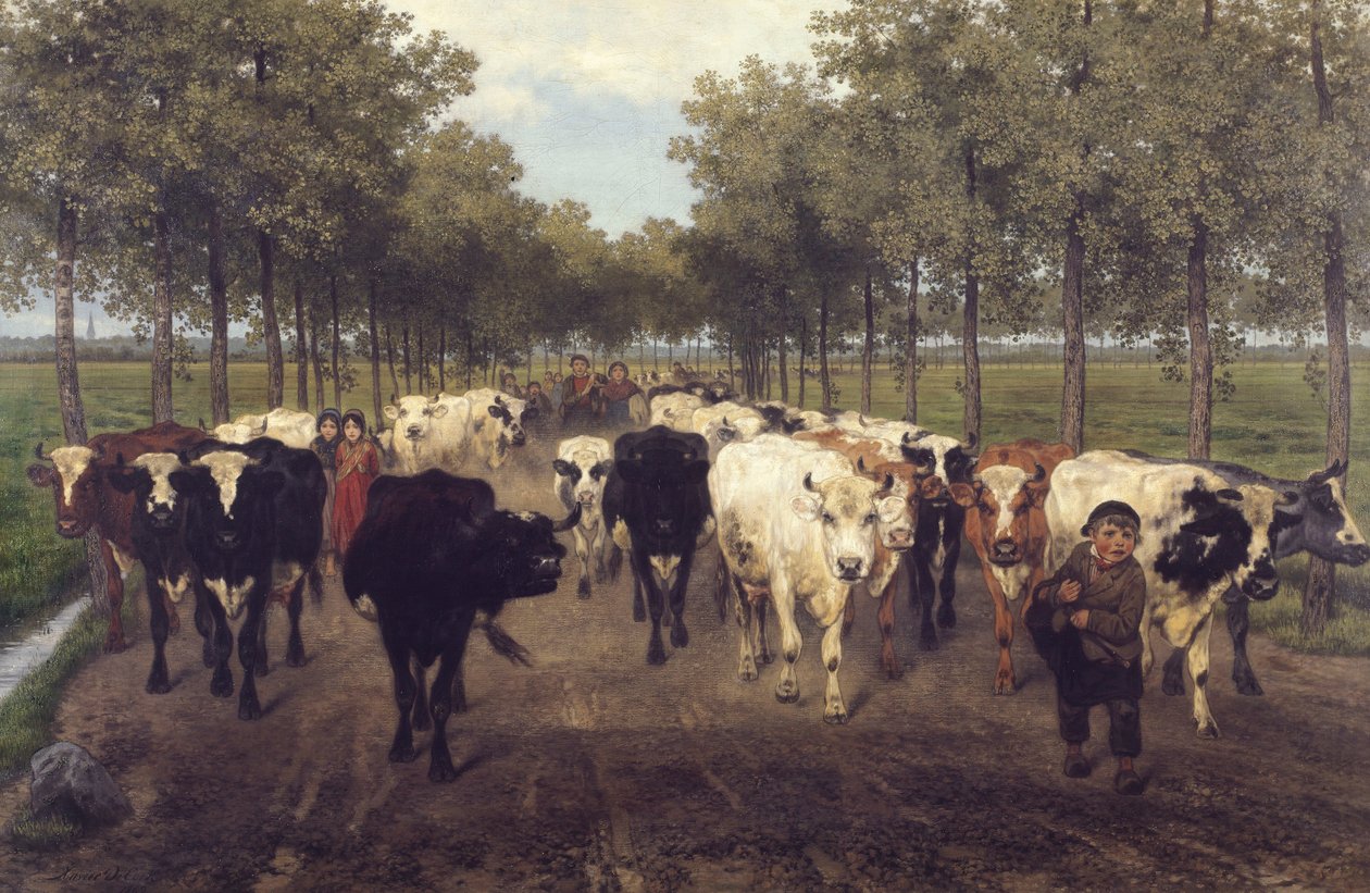 O Meersstraat em Gand de Xavier de Cock