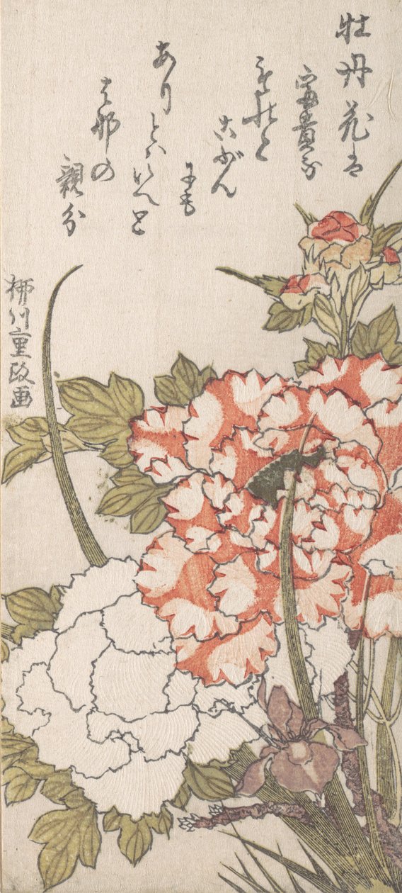 Peônias e Íris, século 18-19. de Yanagawa Shigemasa