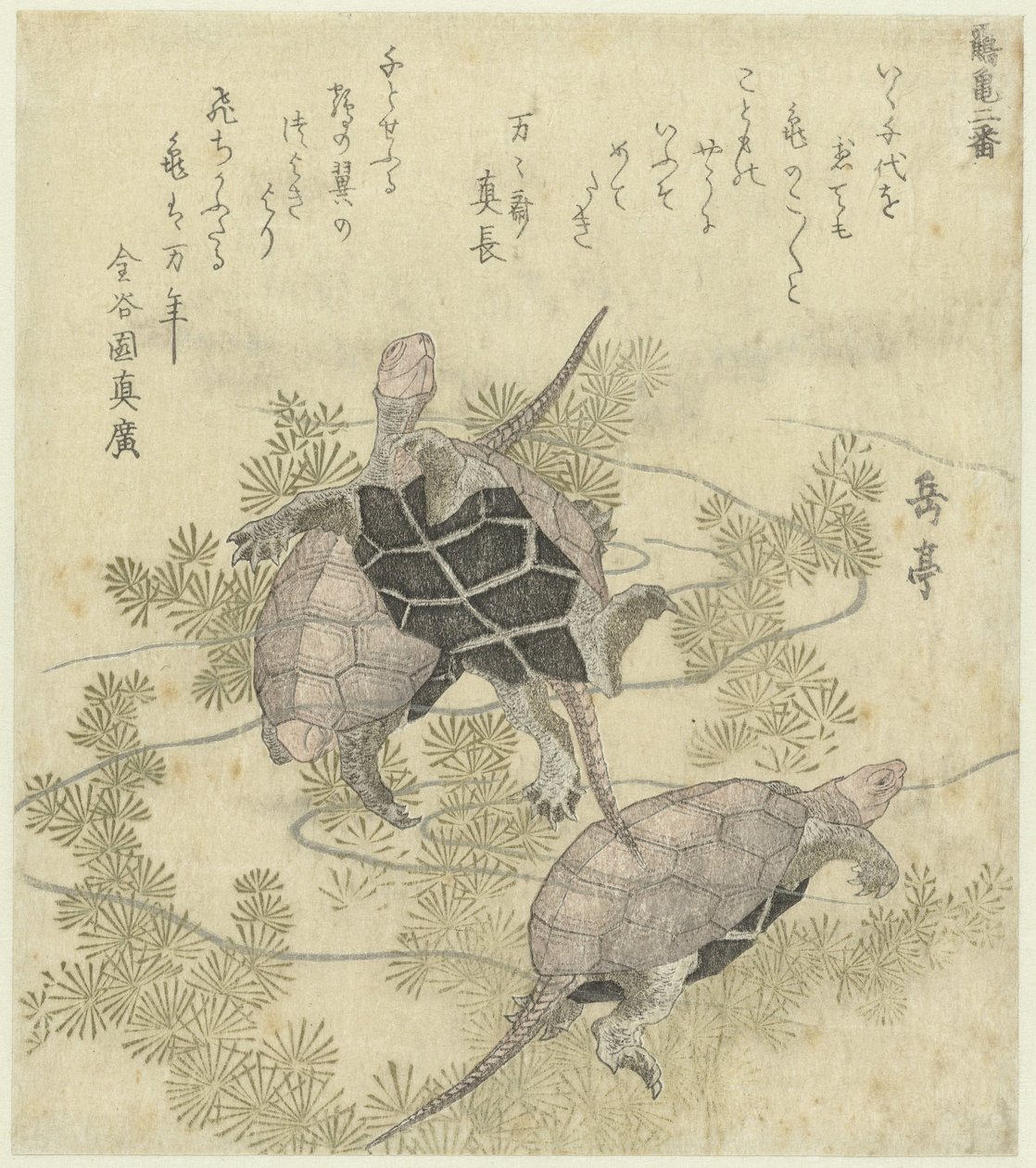 Três tartarugas entre as plantas aquáticas
Uma série de duas estampas de gruas e tartarugas (título da série)
Tsurukame niban (título da série sobre o objecto) de Yashima Gakutei