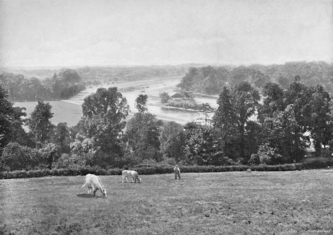 De Richmond Hill, Surrey, c1896 de York and Son