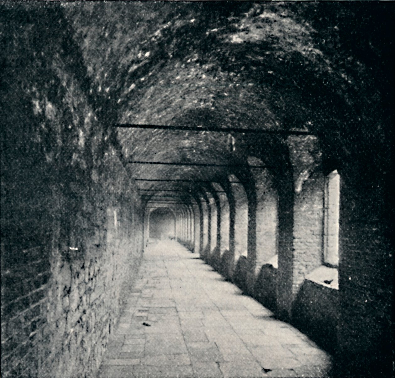 The Cloisters, Charterhouse, Londres, 1903 de York and Son
