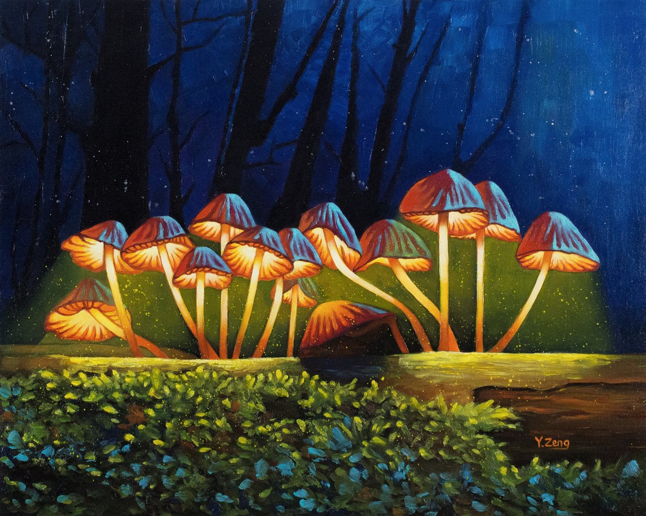 Cogumelos brilhantes à luz da noite, 2023 (óleo sobre tela) de Yue Zeng
