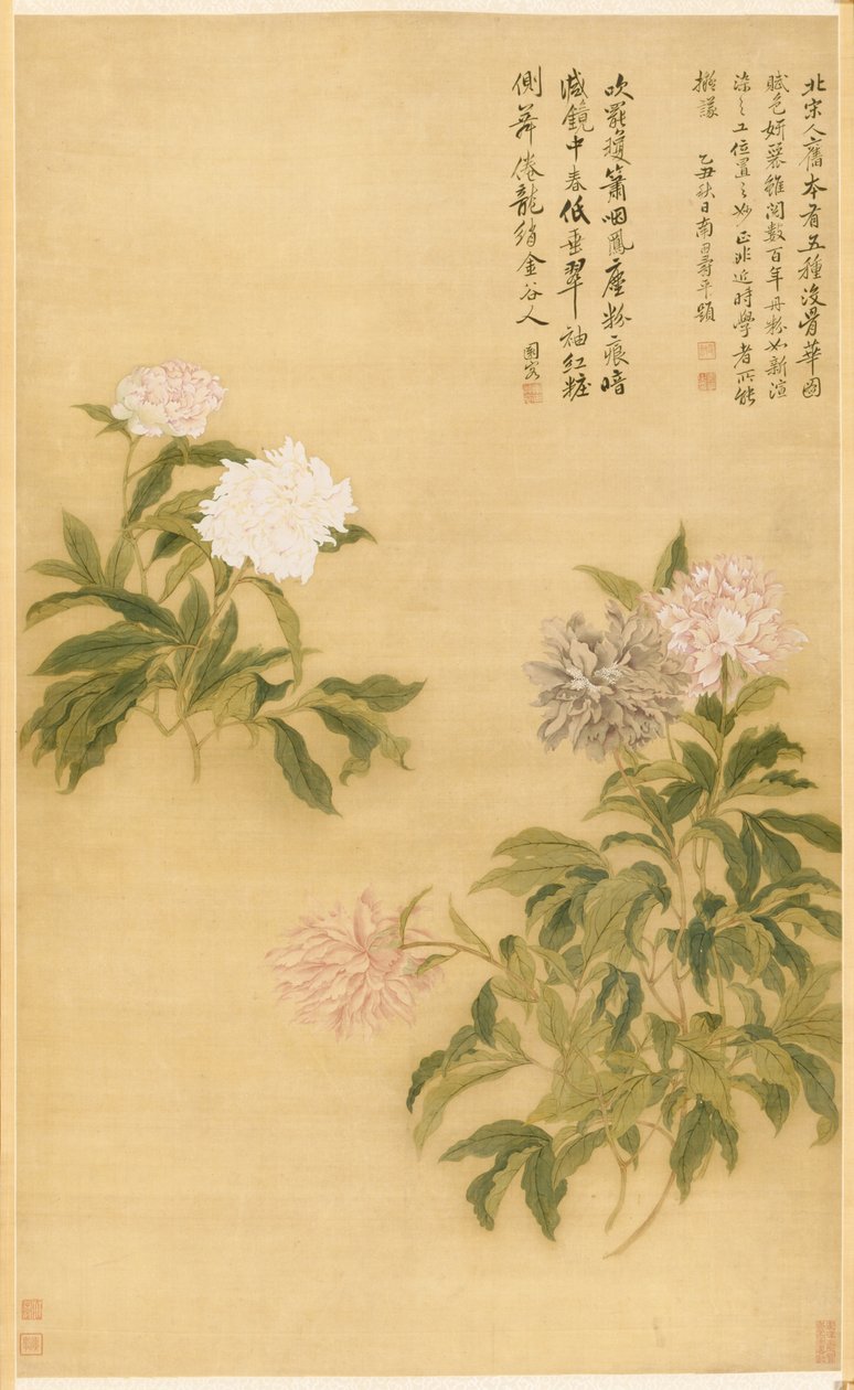 Peônias de Shouping Yun