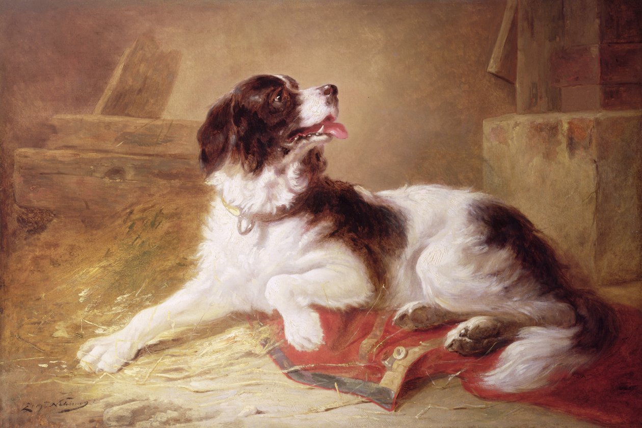 Retrato, de, um, spaniel de Zacharias Noterman