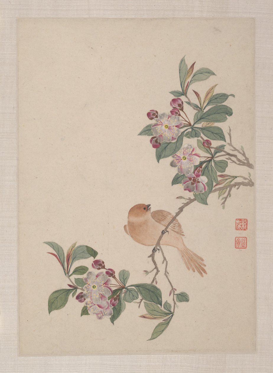 Aves, insectos e flores de Zhai Yi