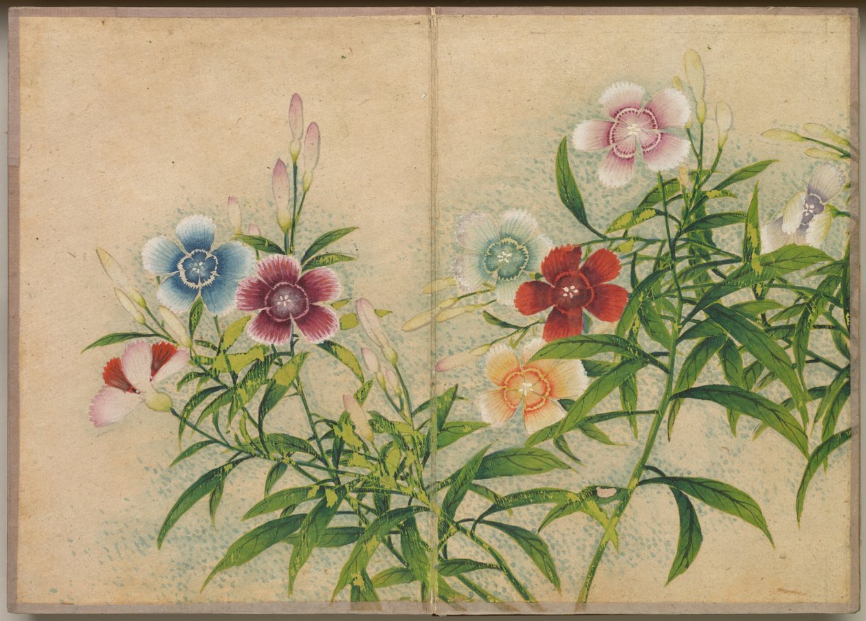 Álbum de Mesa: Pinturas de Flores e Pássaros (Rosa) de Zhang Ruoai