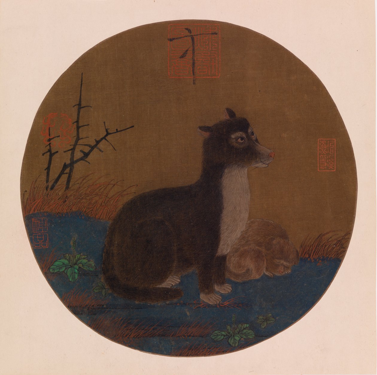 Cães de Zhao Ji