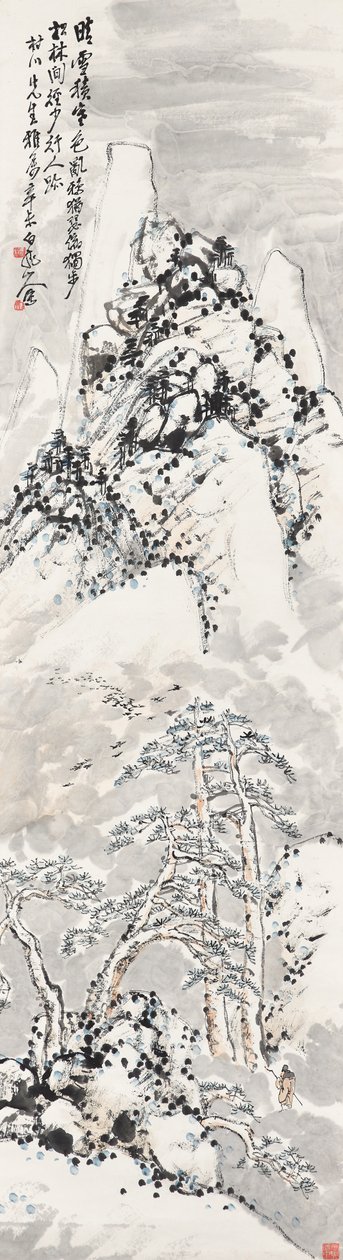 Caminhando para a montanha de neve de Zhen Wang