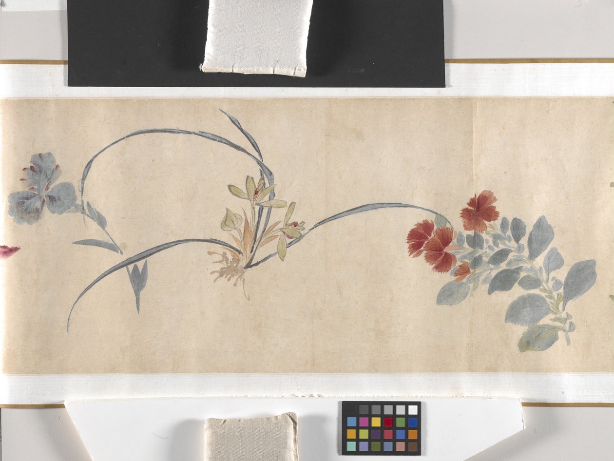 Flores coloridas de Zhimian Zhou