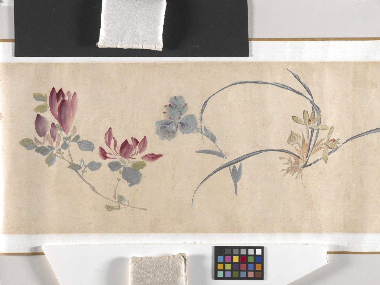 Flores coloridas de Zhimian Zhou