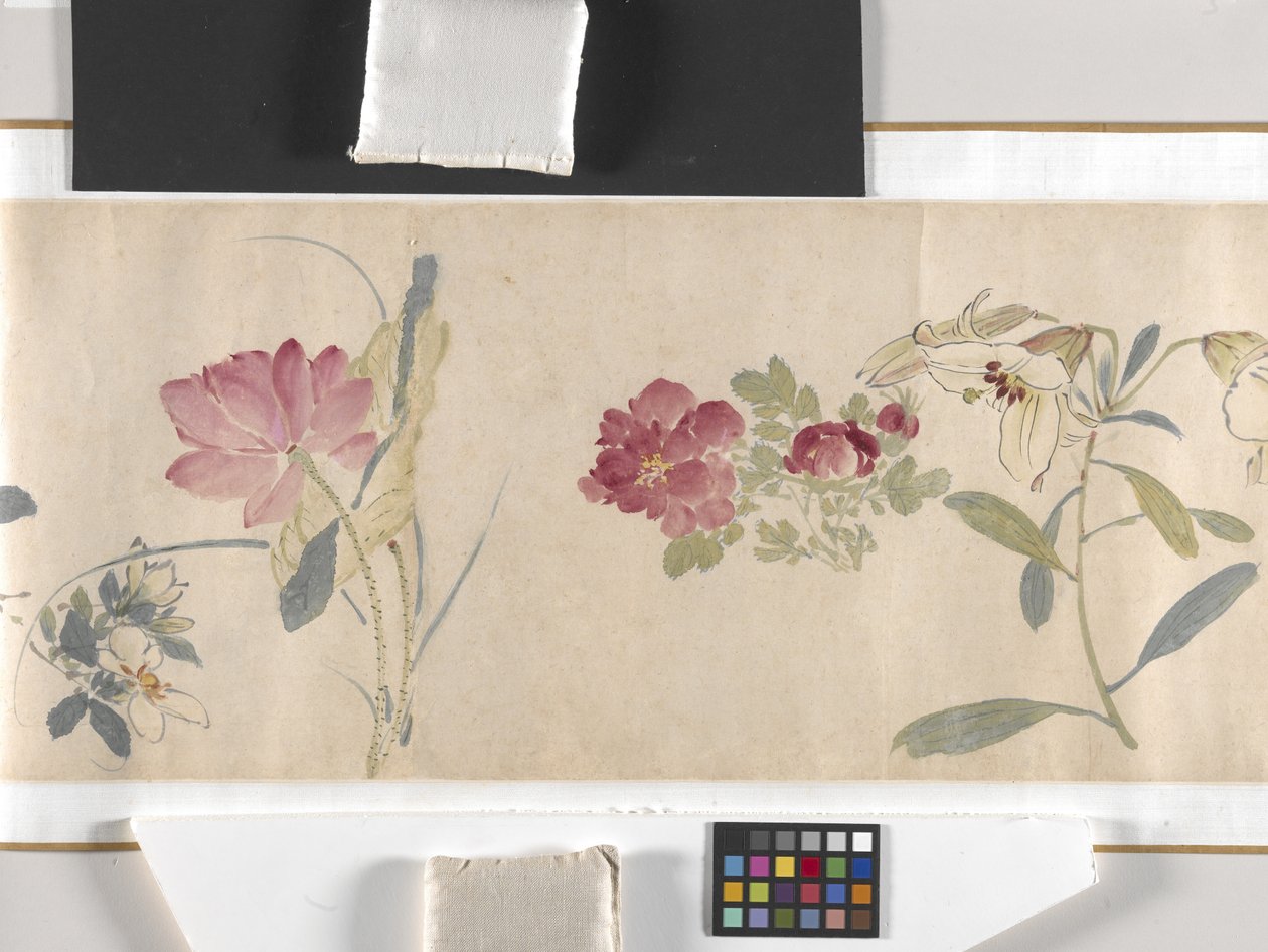 Flores coloridas de Zhimian Zhou