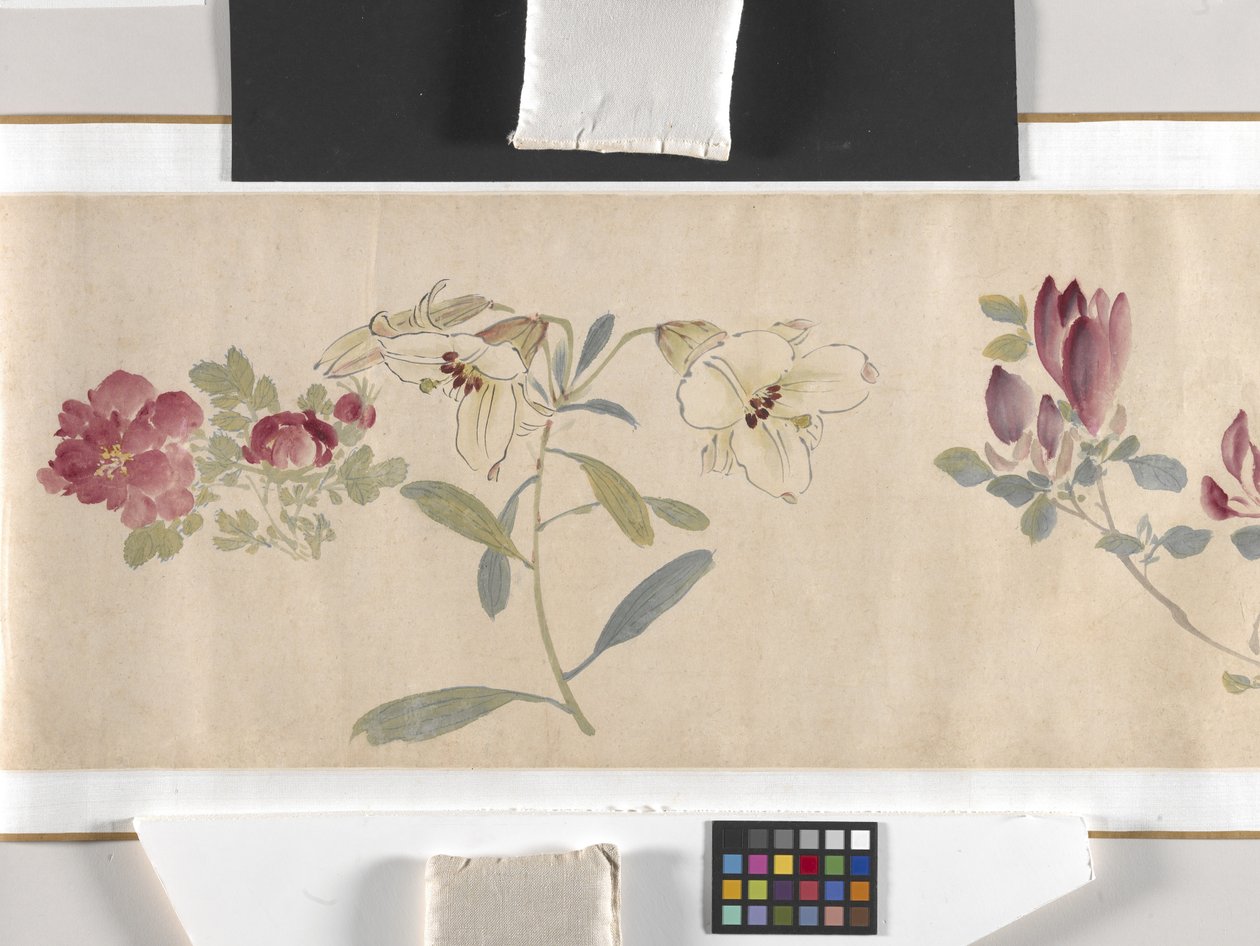 Flores coloridas de Zhimian Zhou