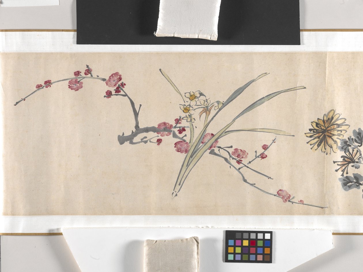 Flores coloridas de Zhimian Zhou