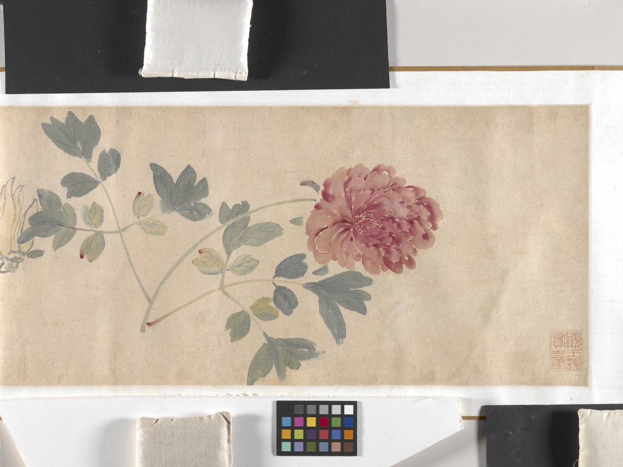 Flores coloridas de Zhimian Zhou