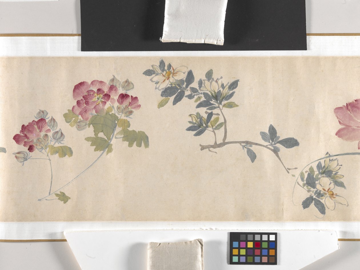 Flores coloridas de Zhimian Zhou