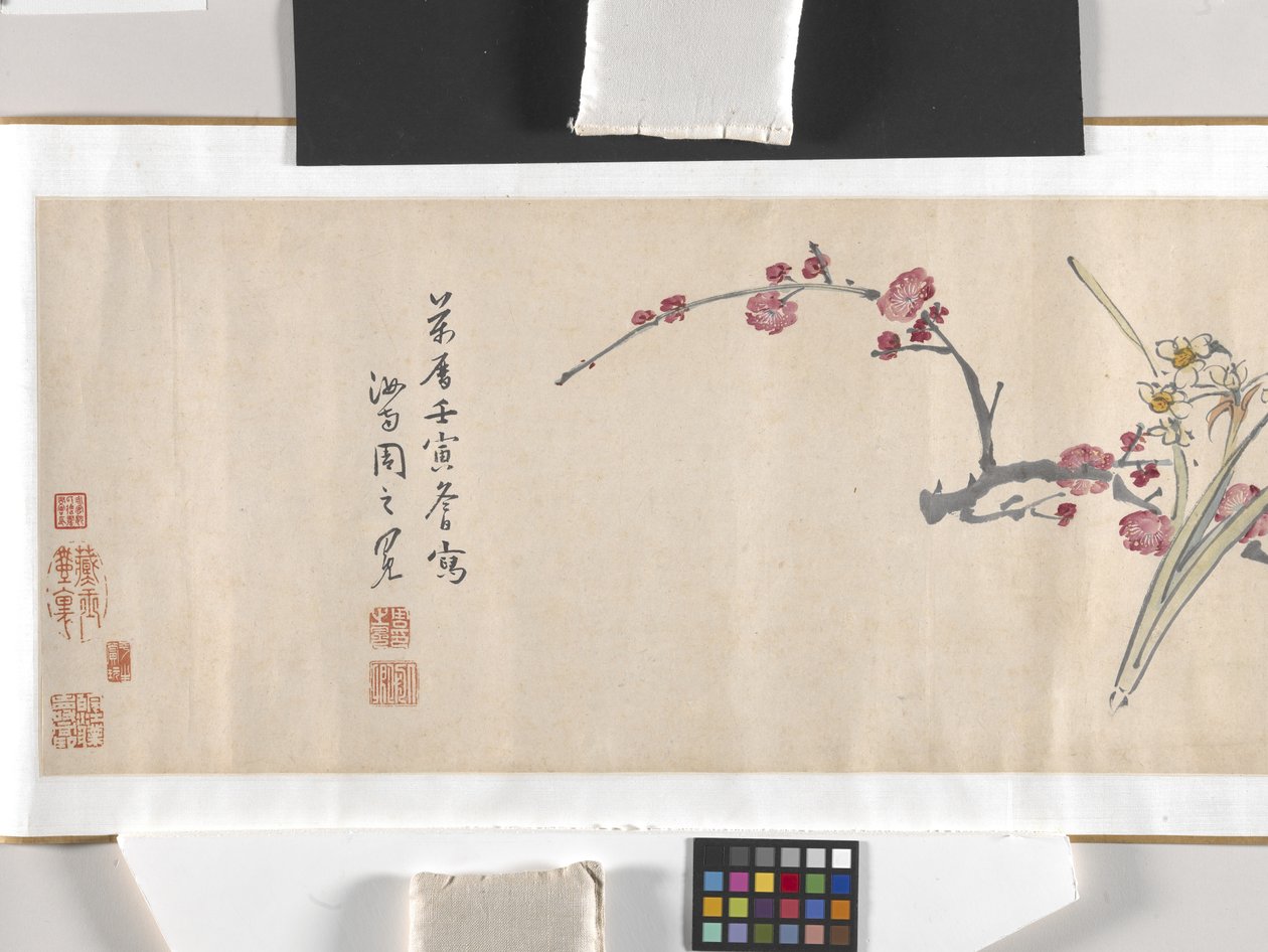 Flores coloridas de Zhimian Zhou