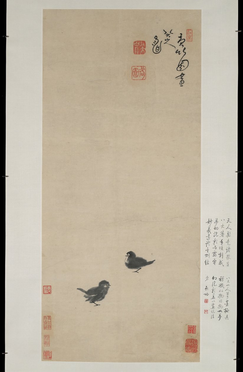 Dois pintinhos, c.1694 (tinta no papel) de Zhu Da