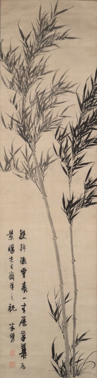 Bambu de Zhu Lu