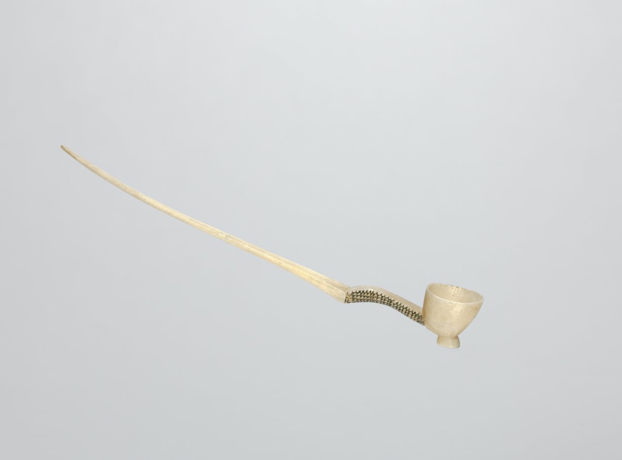Snuff Spoon, final do século XIX (osso) de Zulu