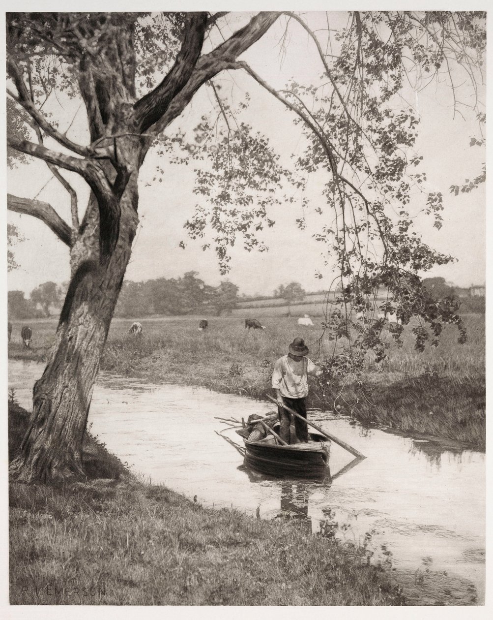 Um Dique de Suffolk de Frederick (attr. to) Barnard