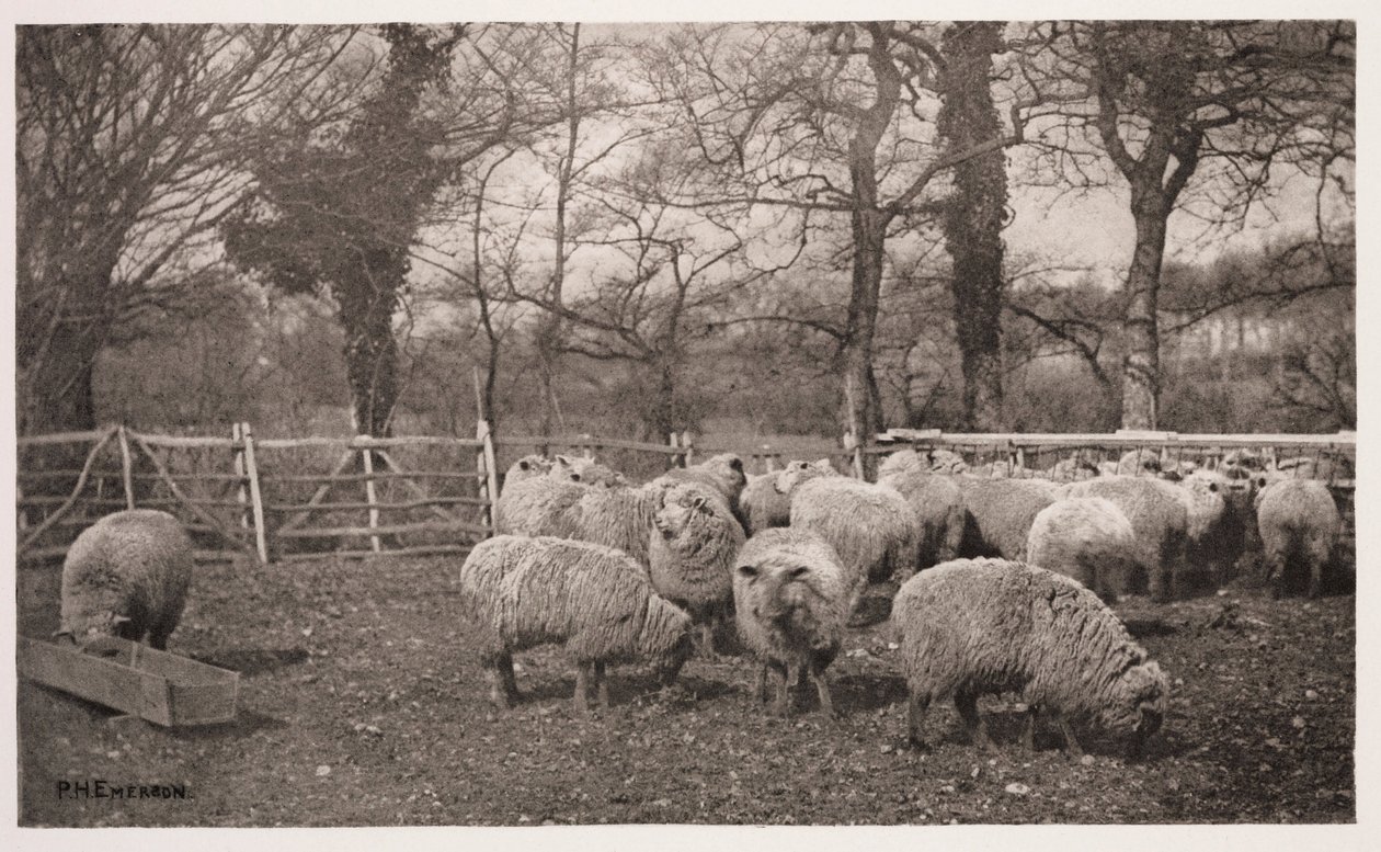 Uma Pastoral de Outono (un automne champetre) de Frederick (attr. to) Barnard