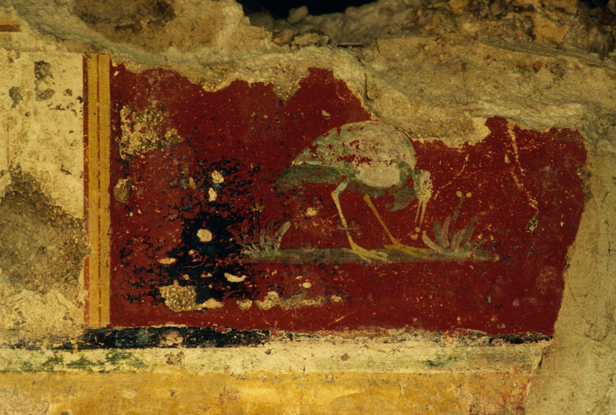 Ave, fragmento afresco, Salus Augusta Temple-Cryptoporticus, antiga cidade romana de Urbs Salvia, Urbisaglia, Marche, Itália (foto) de William Walcutt
