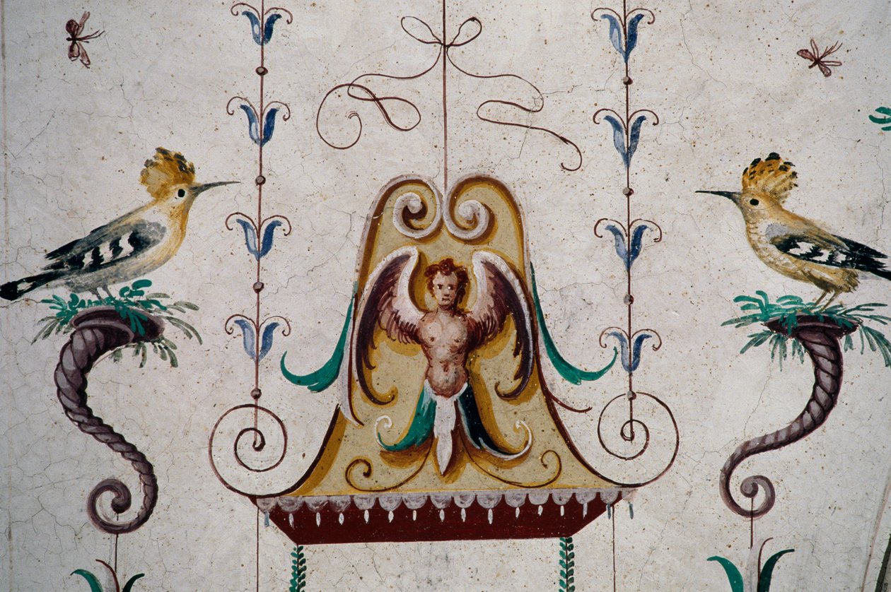Aves, detalhe de afrescos em abóbada do Grotesco Hall (século XVI), Castelo de Manta, Saluzzo, Piemonte, Itália de Georg Carl Heinrich Dollmann