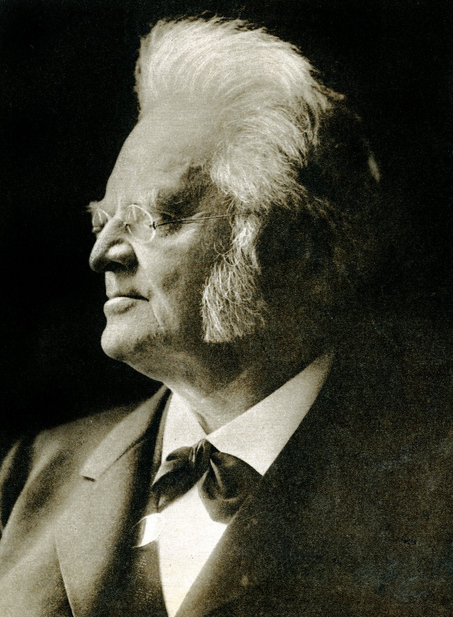 Bjornstjerne Bjornson (fotogravura) de Hippolyte Lalaise Devéria
