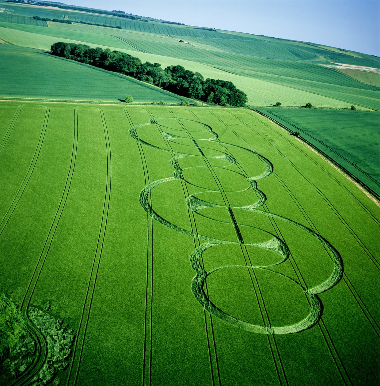 Círculo de cultivo no campo de cevada, Beckhampton, Wiltshire, 5 de Junho de 2005 (fotografia aérea) de Ferdinand Georg Waldmuller