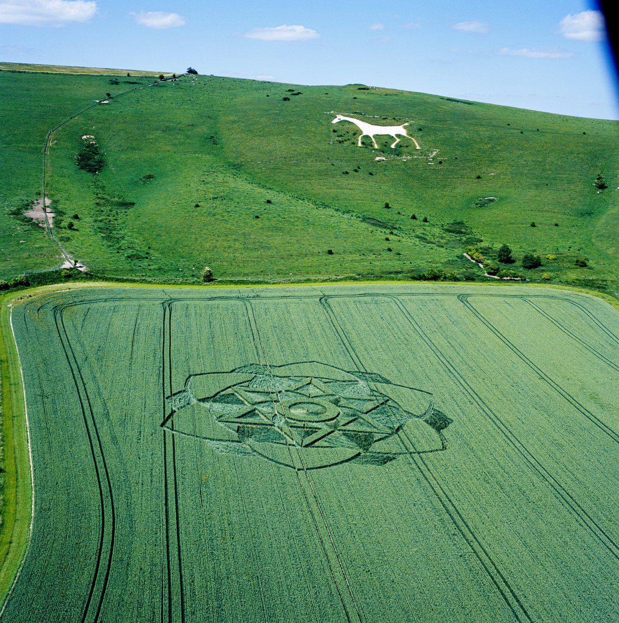 Círculo de culturas no campo de trigo, Milk Hill, Alton Priors, Vale of Pewsey, Wiltshire de Ferdinand Georg Waldmuller