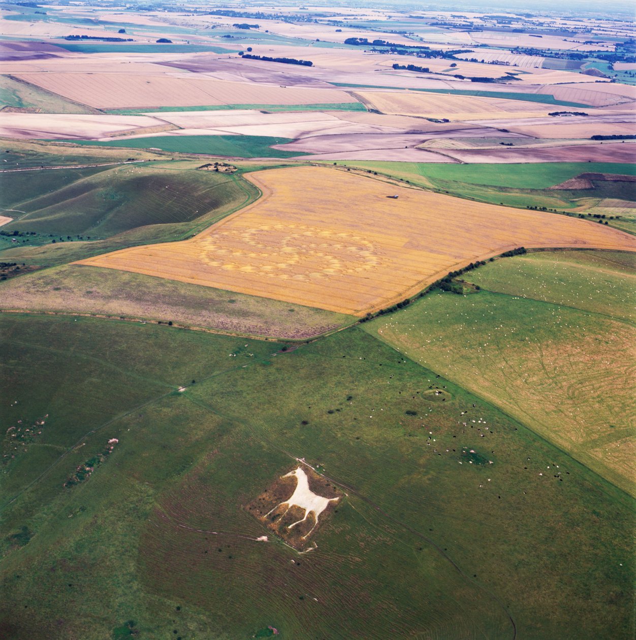 Círculo de culturas no campo de trigo, Milk Hill, Alton Priors, Vale of Pewsey, Wiltshire de Ferdinand Georg Waldmuller