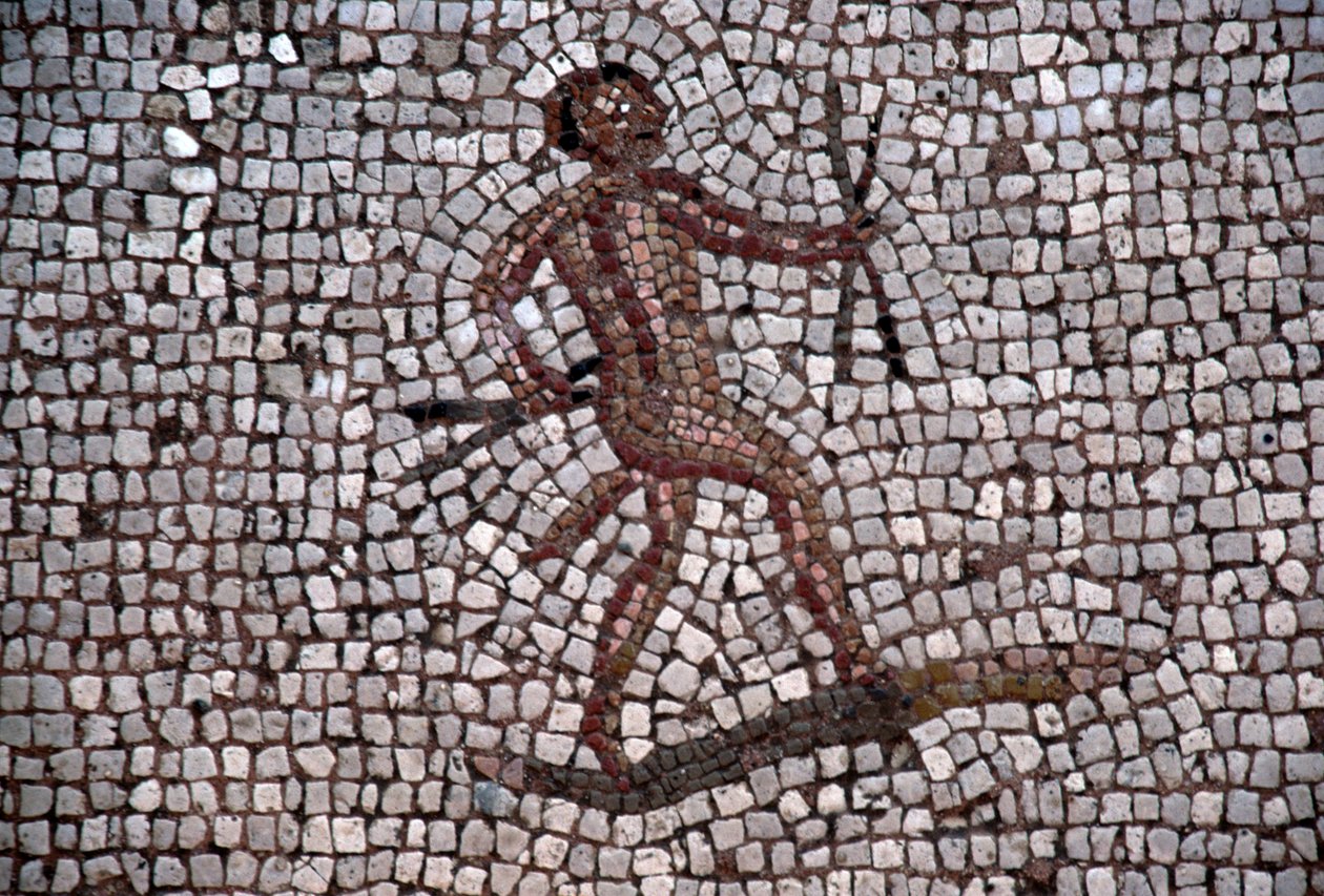 Bailarina, mosaico no antigo porto de Kos, ilha de Kos, Grécia, civilização romana (foto) de Georg Carl Heinrich Dollmann