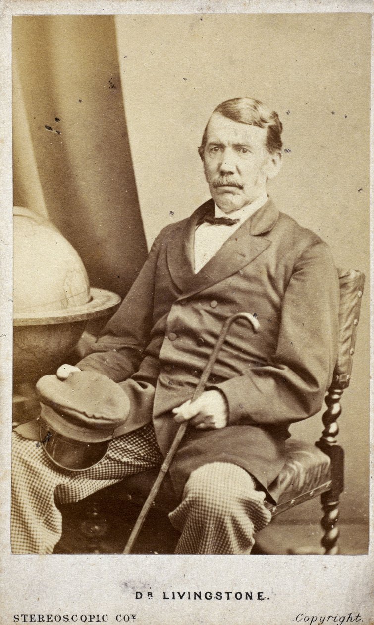 David Livingstone, missionário e explorador escocês, c 1860s de Frederick (attr. to) Barnard