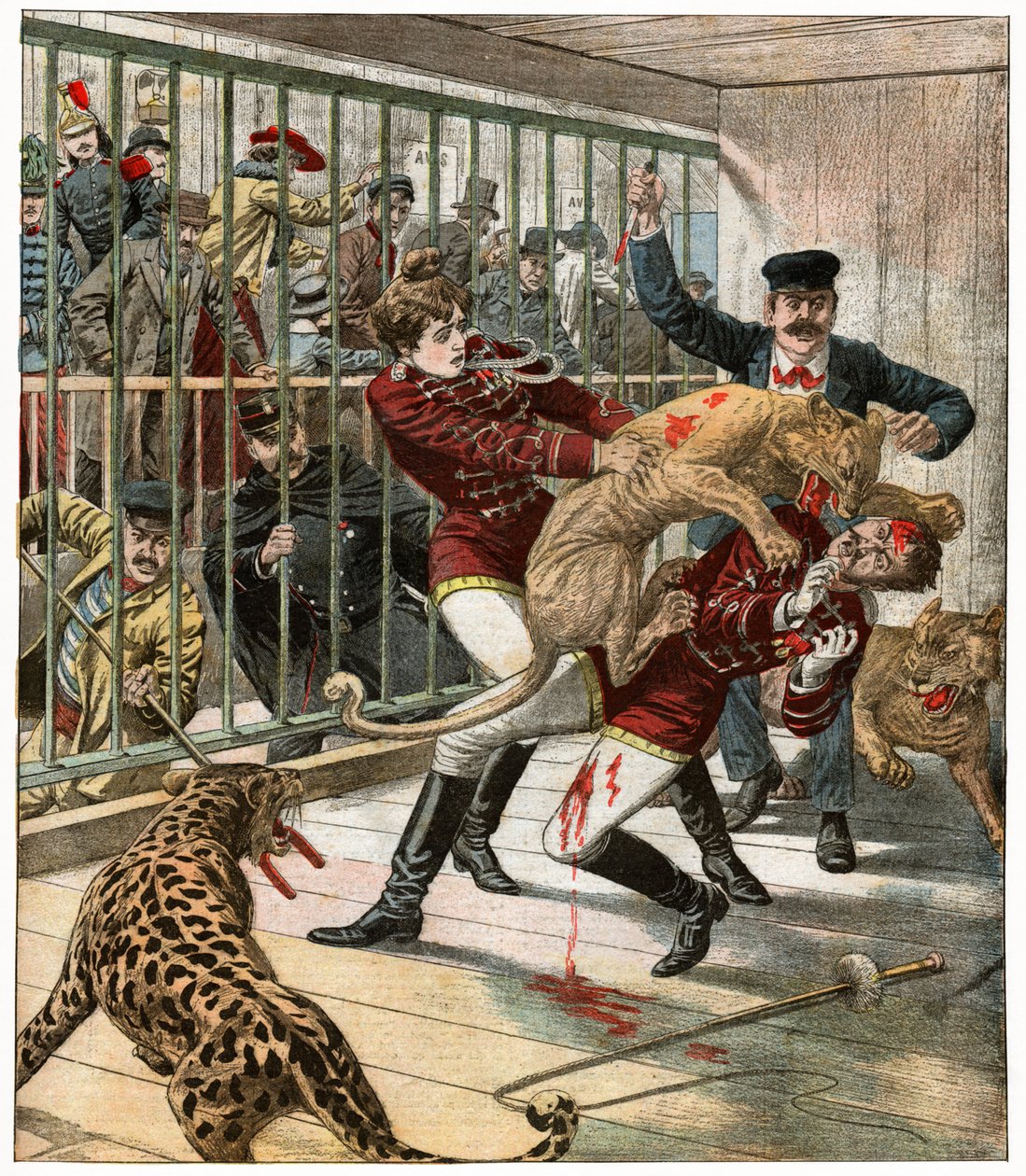 Morte de um treinador de grandes felinos de . .