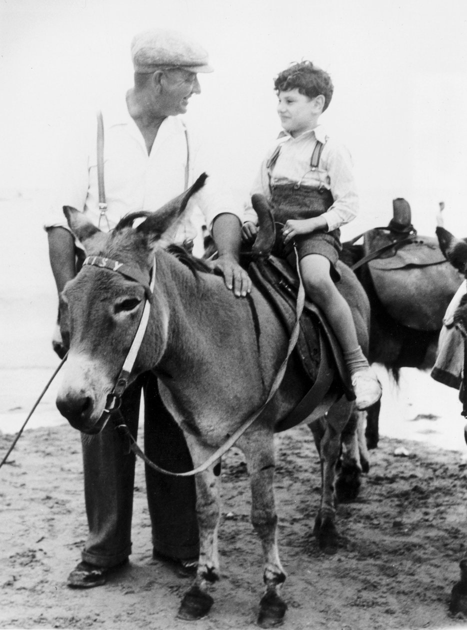 Burro a montar em Margate, Kent, 3 de Agosto de 1949 de Ferdinand Georg Waldmuller