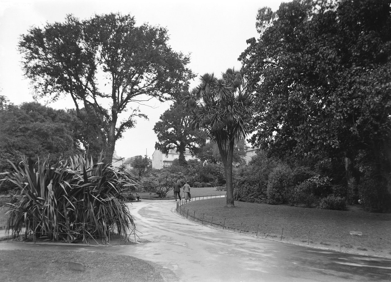 Jardins em Penzance, Cornualha de John Pardon