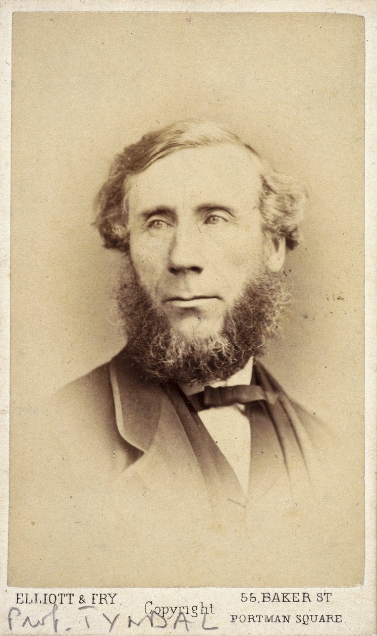 John Tyndall, físico irlandês, c 1875 de Frederick (attr. to) Barnard