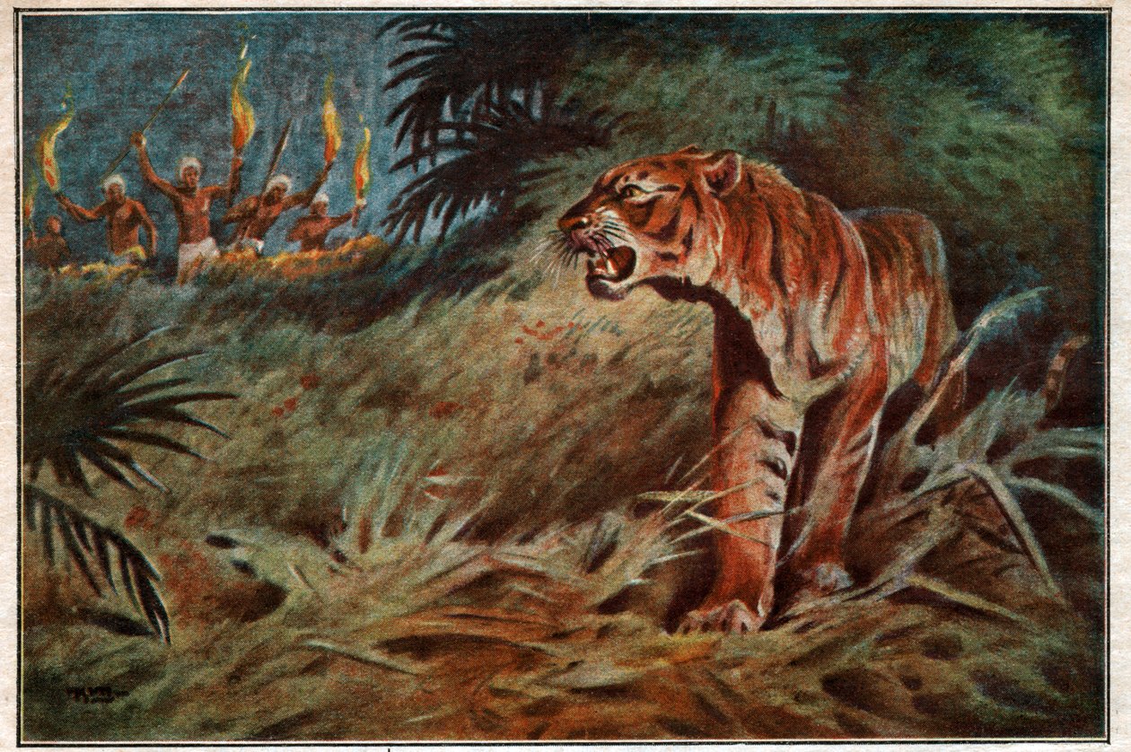 paisagem de . .