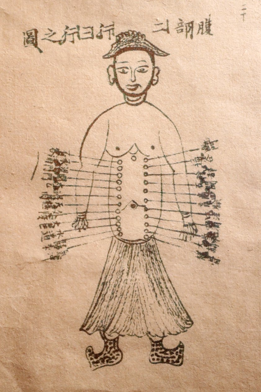 Museum of Traditional Vietnamese Medicine, The channels and vessels, Livro de acupunctura, Cidade de Ho Chi Minh, Vietname de John Pardon