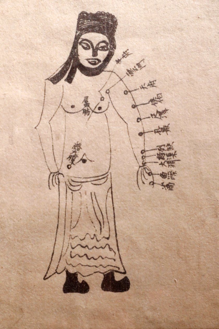 Museum of Traditional Vietnamese Medicine, The channels and vessels, Livro de acupunctura, Cidade de Ho Chi Minh, Vietname de John Pardon