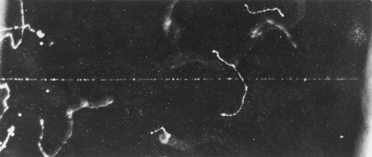 Imagem de Partículas, Câmara de Nuvens A pista de um rápido raio beta, início do século 20 de Ferdinand Georg Waldmuller
