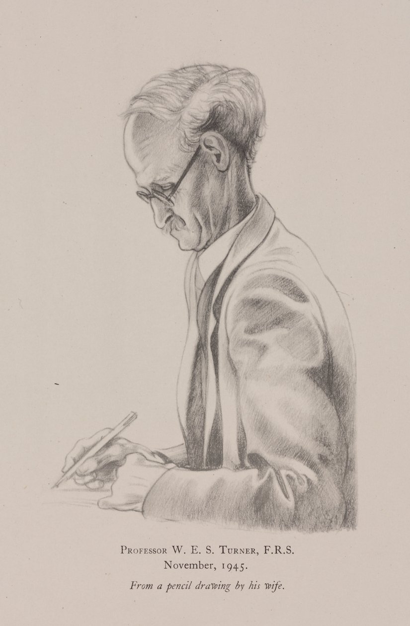 Professor W E S Turner, Novembro de Frederick (attr. to) Barnard