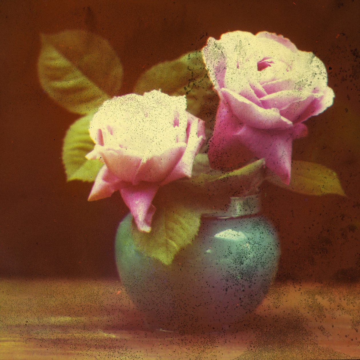 "Rosas"... de Frederick (attr. to) Barnard