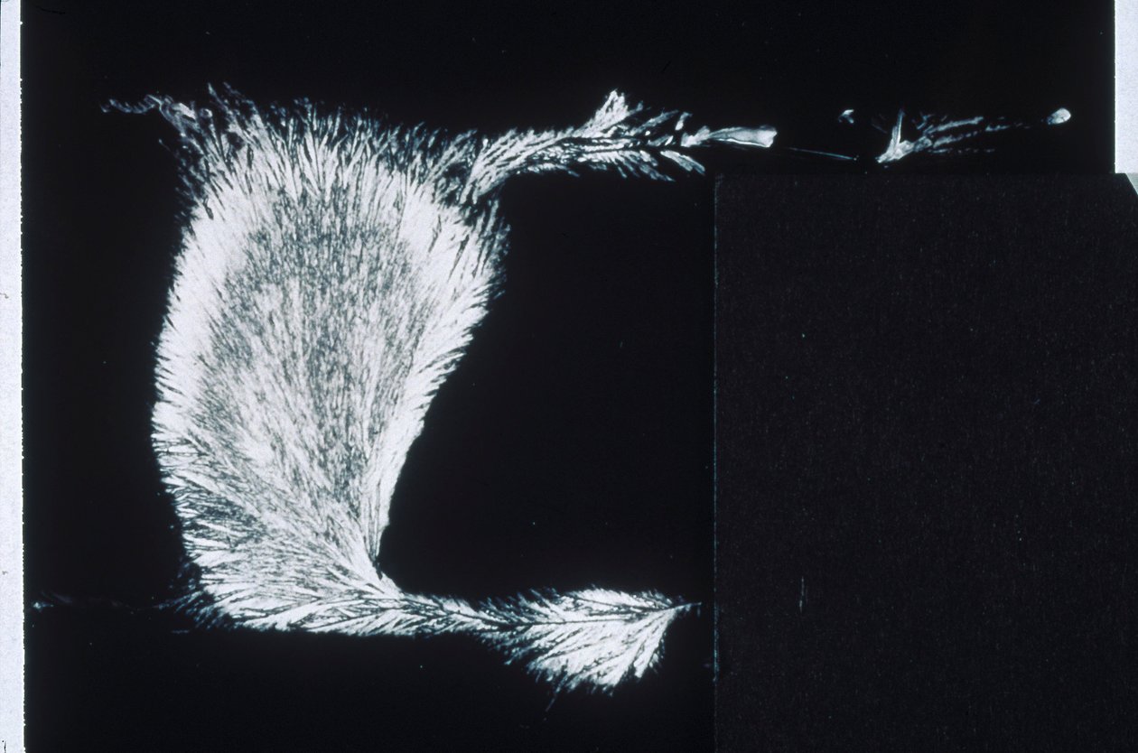 SILICATOS, LM Silicato de sódio de Frederick (attr. to) Barnard