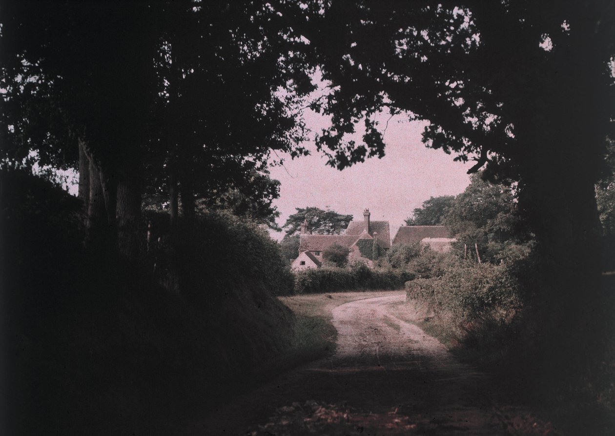 Fotografia "Sonho de Verão" de Arthur E Morton, membro da The Society of Colour Photographers, que estava a experimentar os processos e técnicas da fotografia a cores do início do século XX. de Frederick (attr. to) Barnard