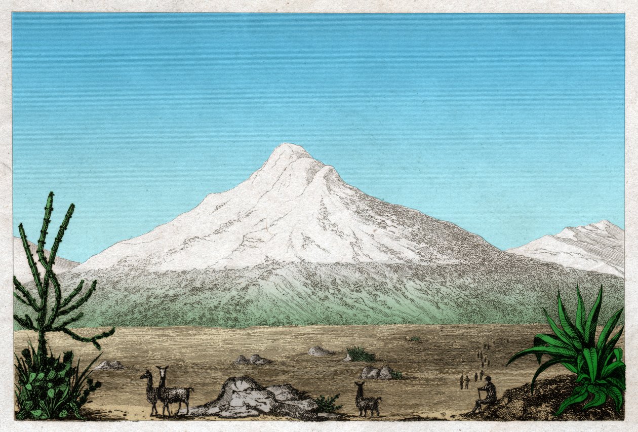 O vulcão Chimborazo do planalto de Tapia, Equador. cerca de 1840 (gravura) de . .