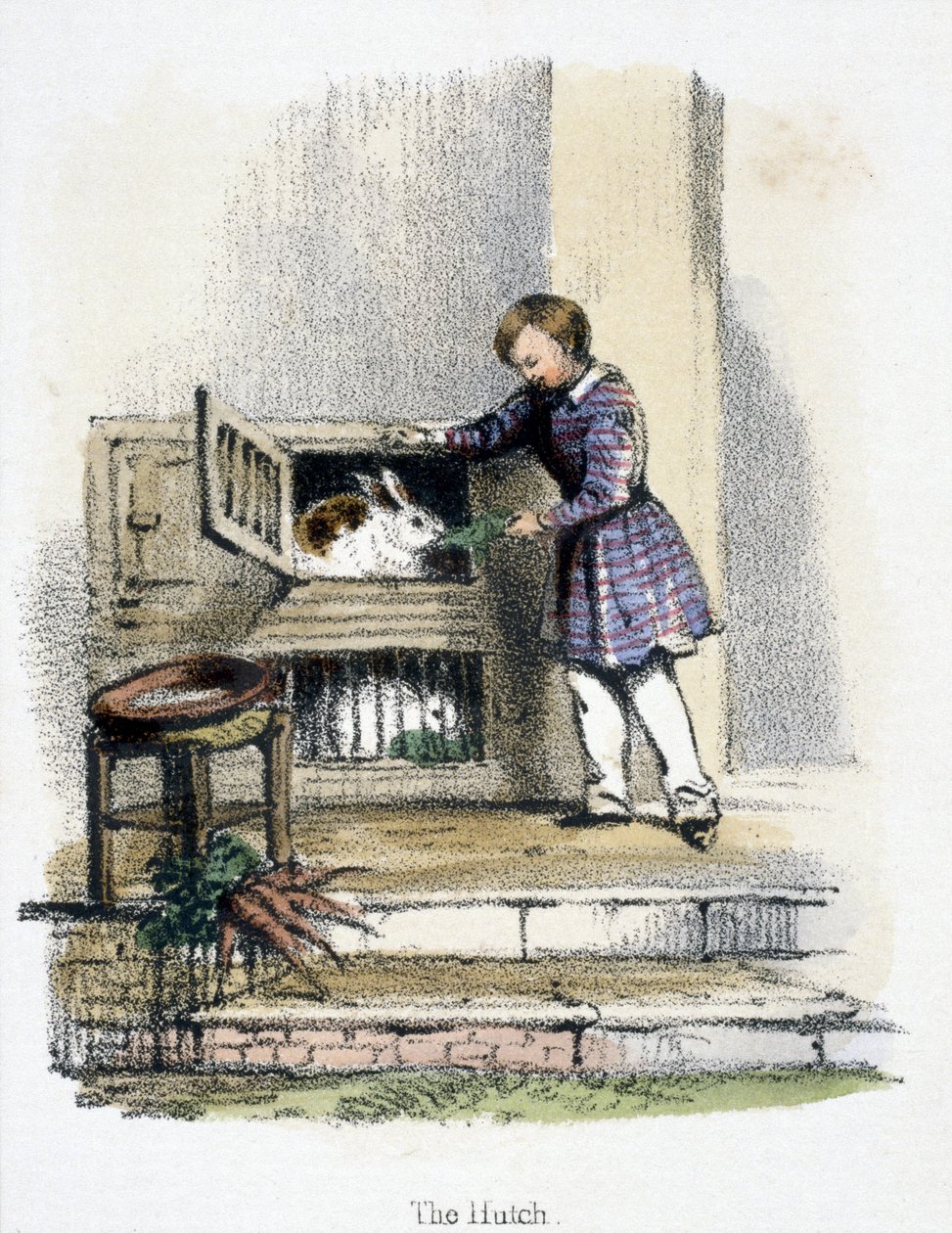 A Hutch