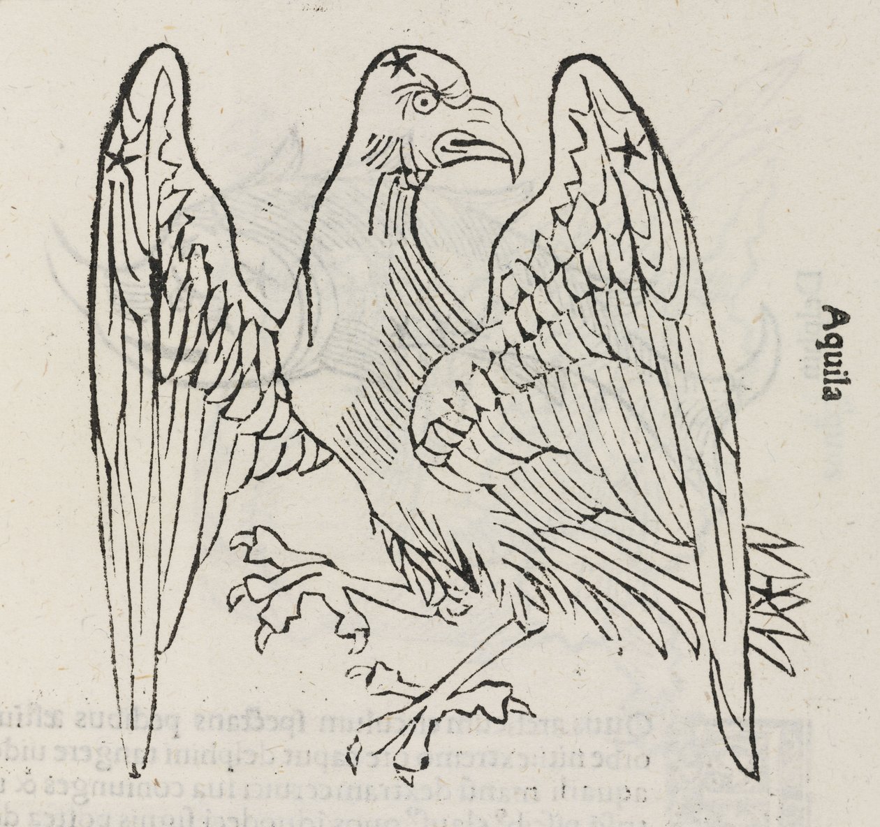 A constelação de Aquila de John Pardon