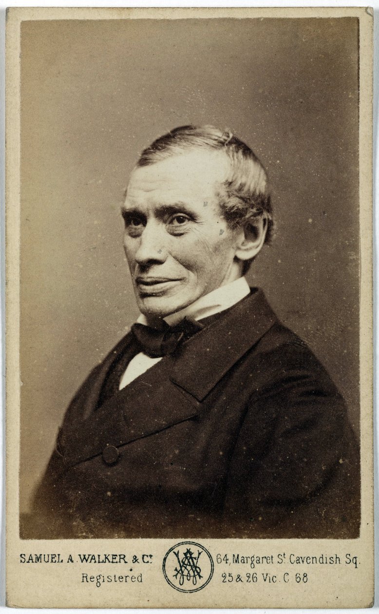 Thomas Graham, químico escocês, c 1870 de Frederick (attr. to) Barnard